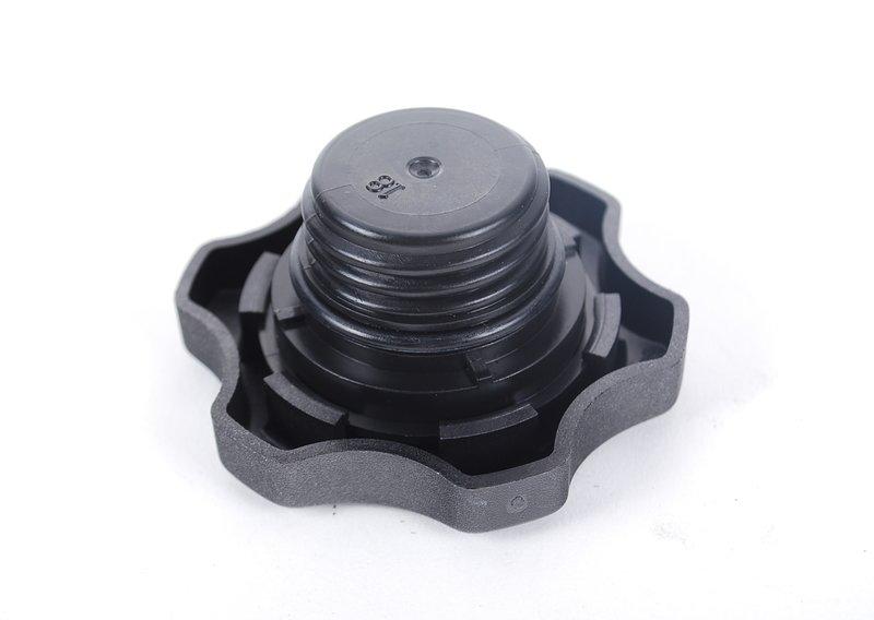 RP запорн.крышка маслоналивного патрубка