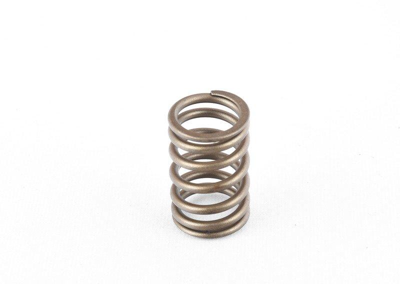 Пружина клапана