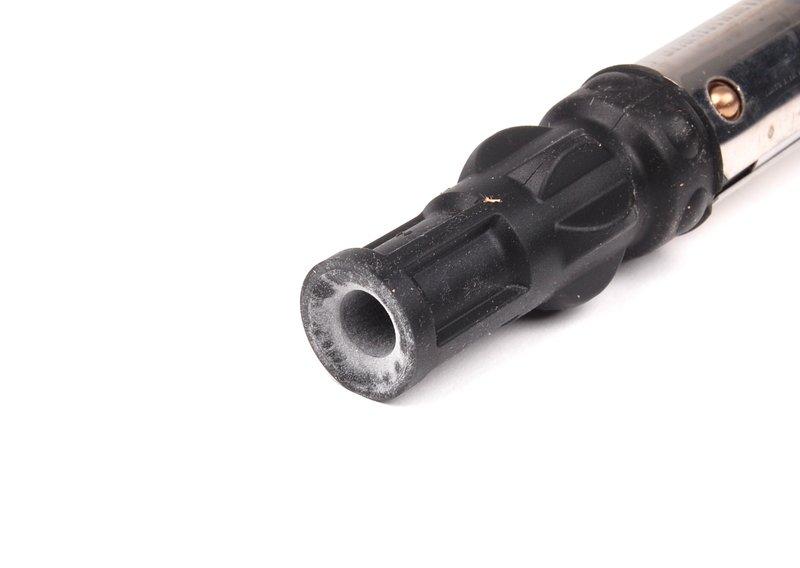 катушка зажигания S65