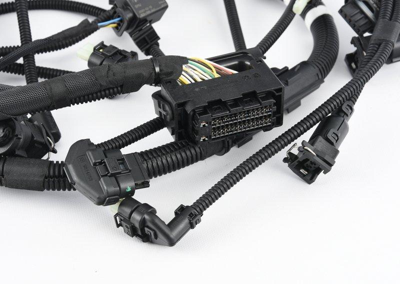 Жгут пров.двиг., чувств.эл., модуль 2