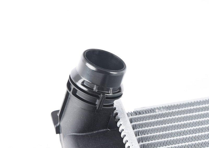 F20/F30 радиатор