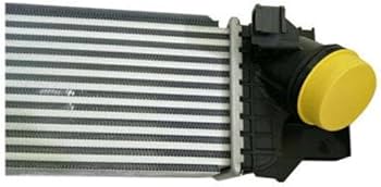 F55/F48/F39 интеркулер