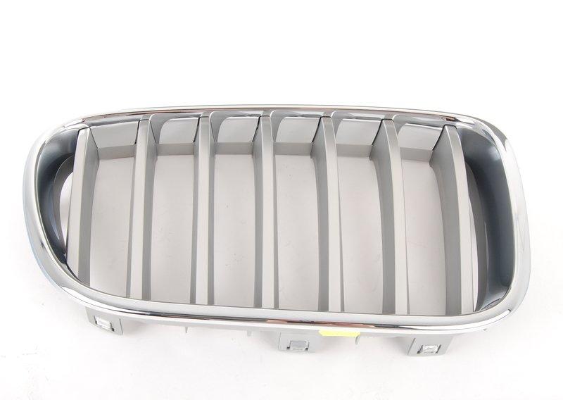 F25 ноздря левая титан