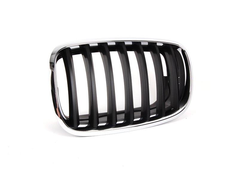 E70 ноздря левая