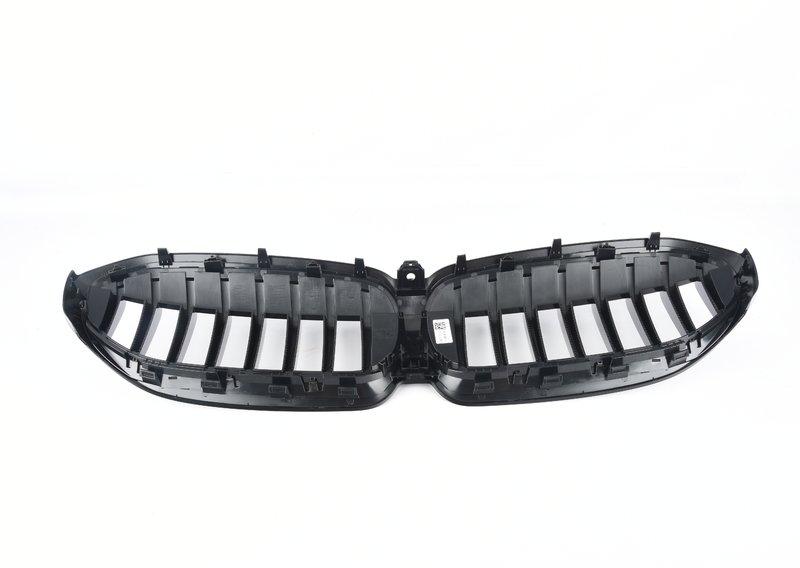 G20 ноздря черные