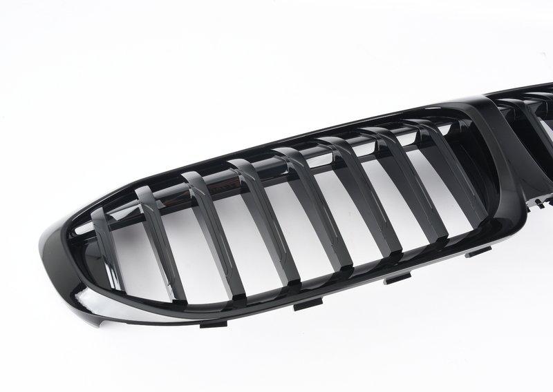 G20 ноздря черные