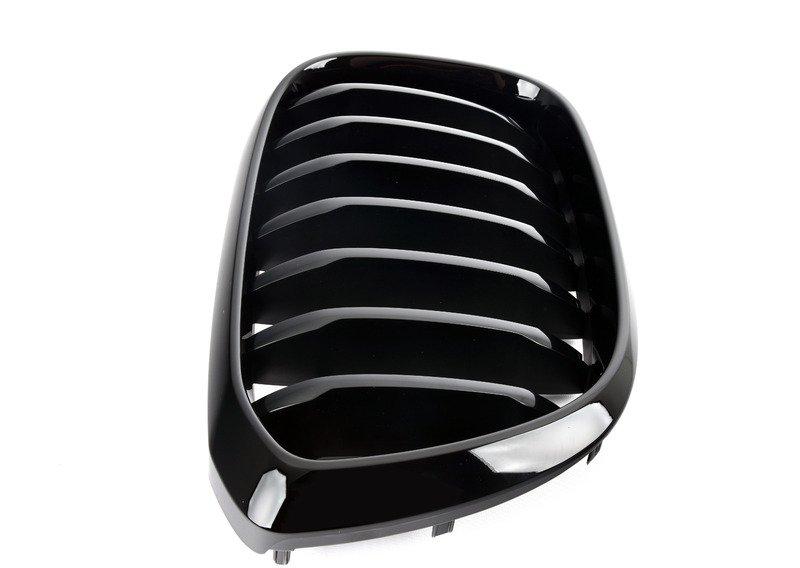 G01 ноздря черная правая