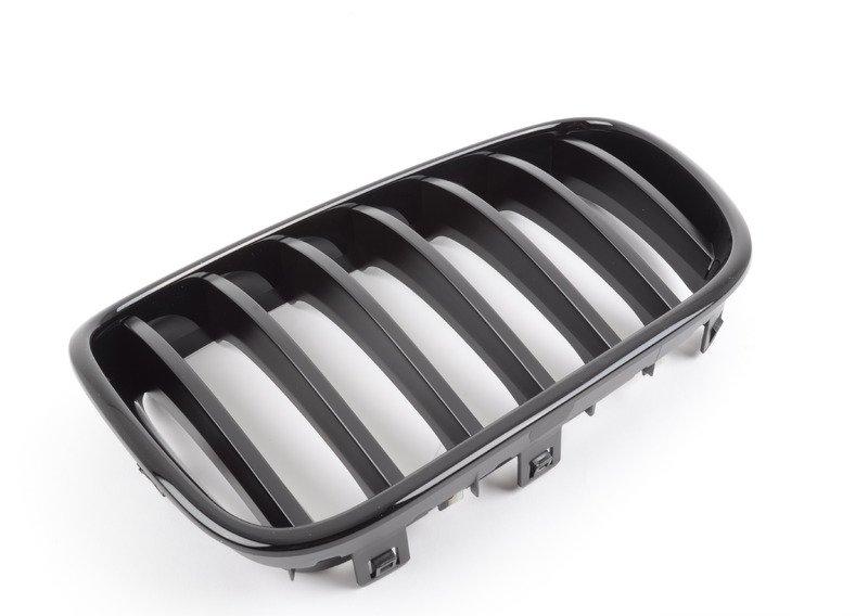 ноздря F25 Л черн