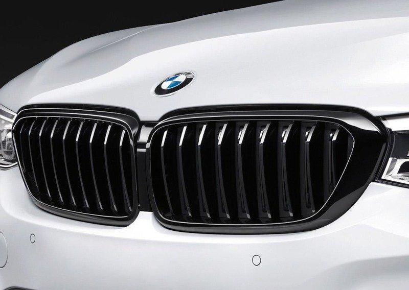 G32 ноздря черная правая