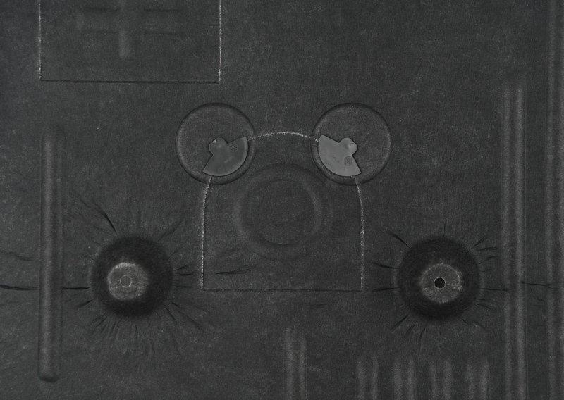 F40/F44/F54/F60 Экран защиты моторного отсека