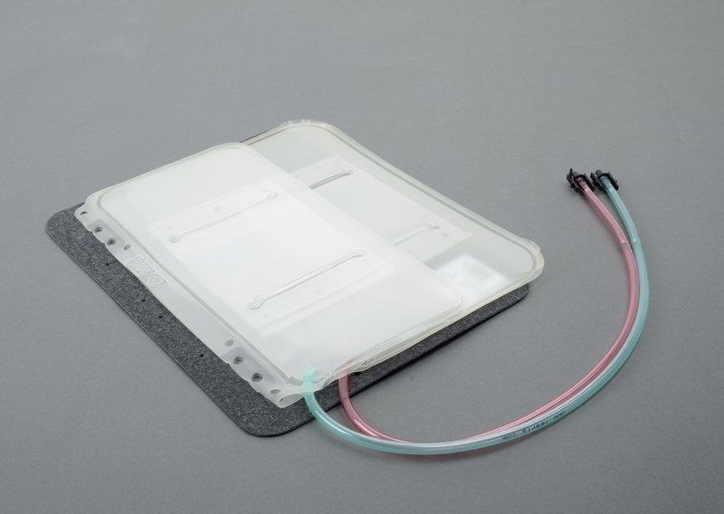 Подушка поясничной опоры F25